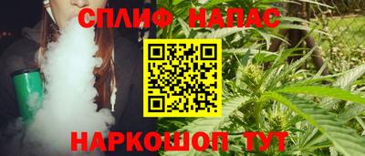 стаф Краснодар