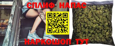 стаф Краснодар